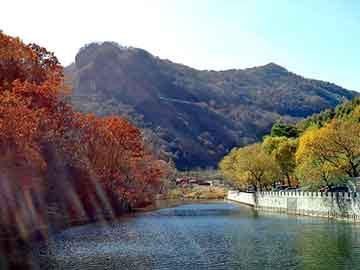 新澳门最精准免费大全，西北旅游论坛